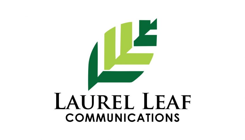 Ace Journalist Abiola Alaba Peters Unveils New Company, Laurel Leaf Communications, Names Adebukola Oba CEO